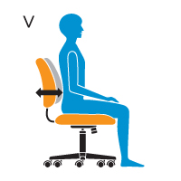 V - Lumbar Depth Adjustment