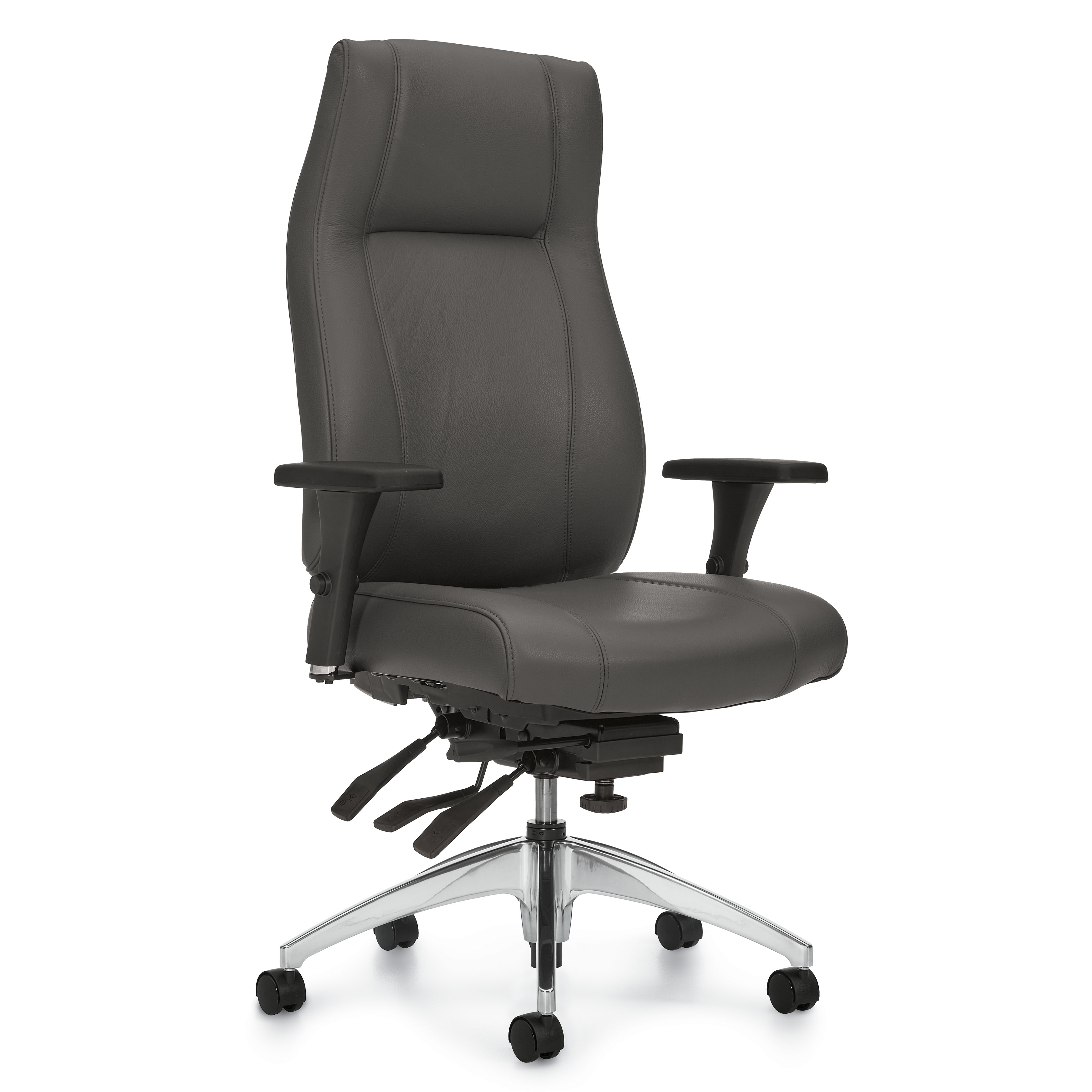 Triumph - Ergonomic Task Chair - Task Chair - Office Task Chair - Lumbar support for task chair - High Back Multi-Tilter