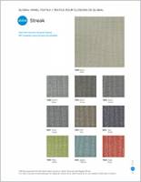 Streak Brochure Cover