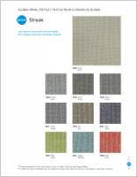 Streak Brochure Cover