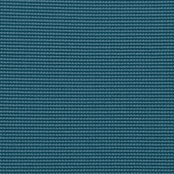 Pâturin arctique 