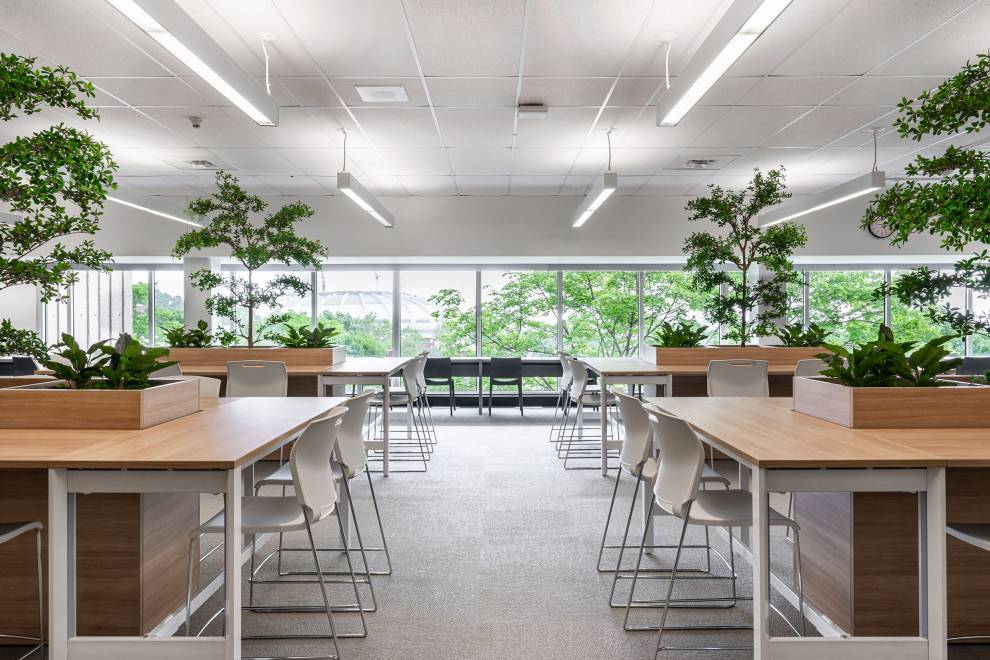 Collège de Maisonneuve - Bibliothèque Gabriel-Allard Thumbnail