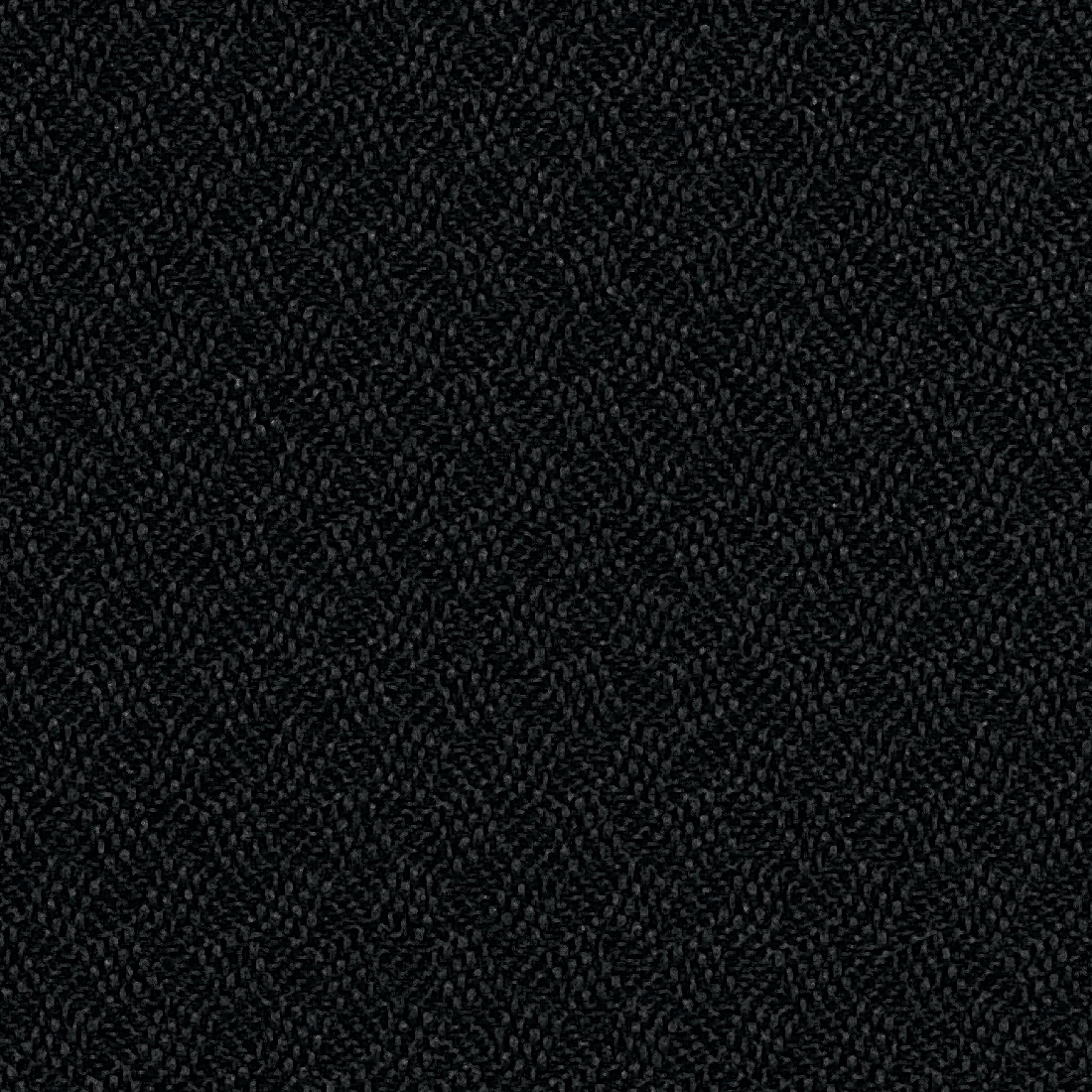 Close up of Black