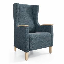 Primacare Wingback 02 Image Thumbnail